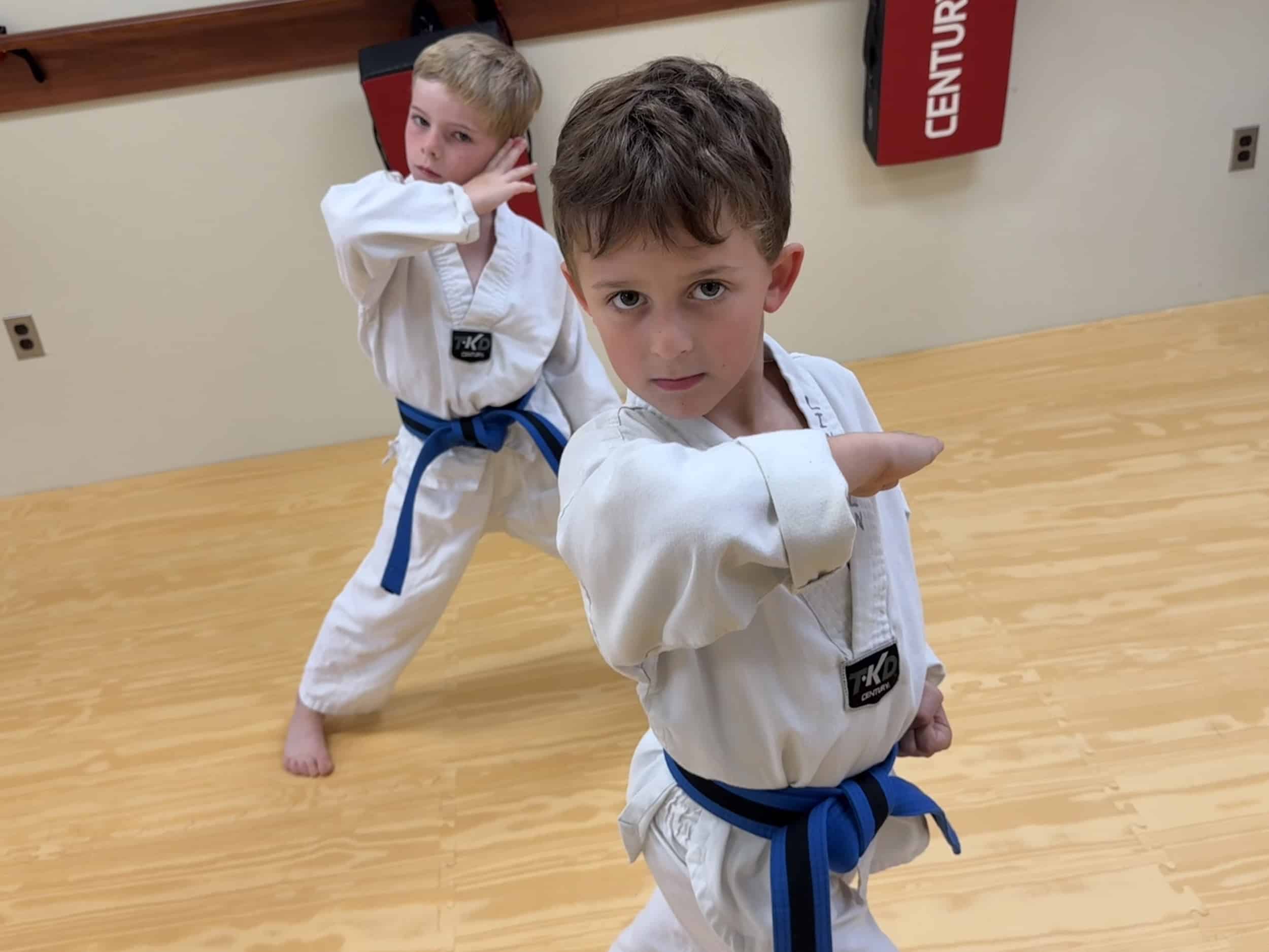 Peter Malota Martial Arts kids taekwondo students practicing proper taekwondo forms for class